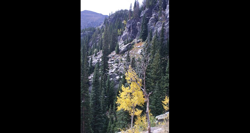 Autumn in Rocky Mountain National Park